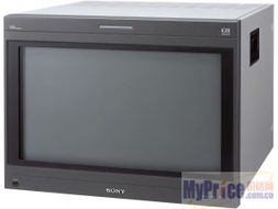 Sony BVM-D32E1WE 專業(yè)監(jiān)視器在安防監(jiān)控領域的應用與總覽